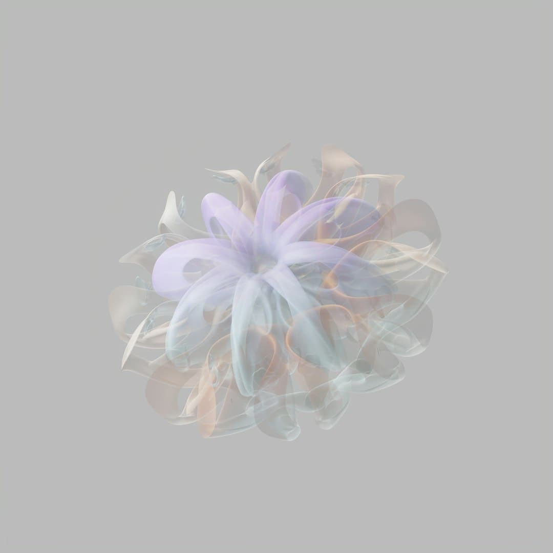 一半花海，一半大海！泉州沿海公园虞美人迎来欣赏期